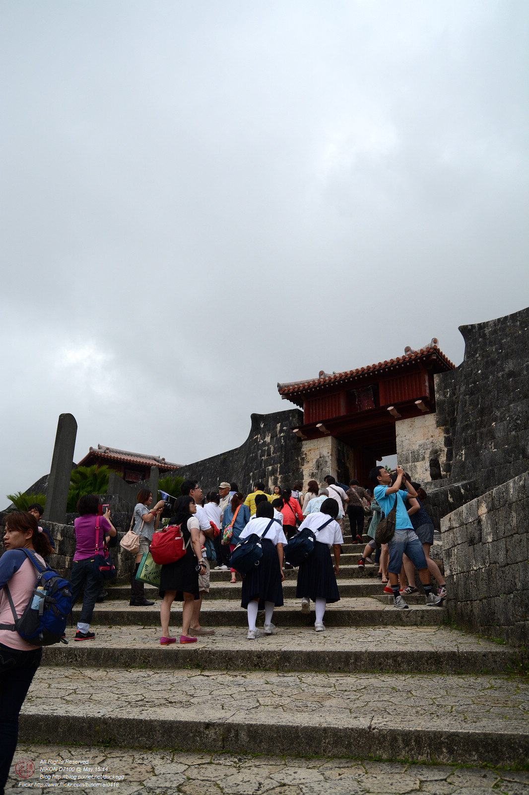 DSC_3235.jpg